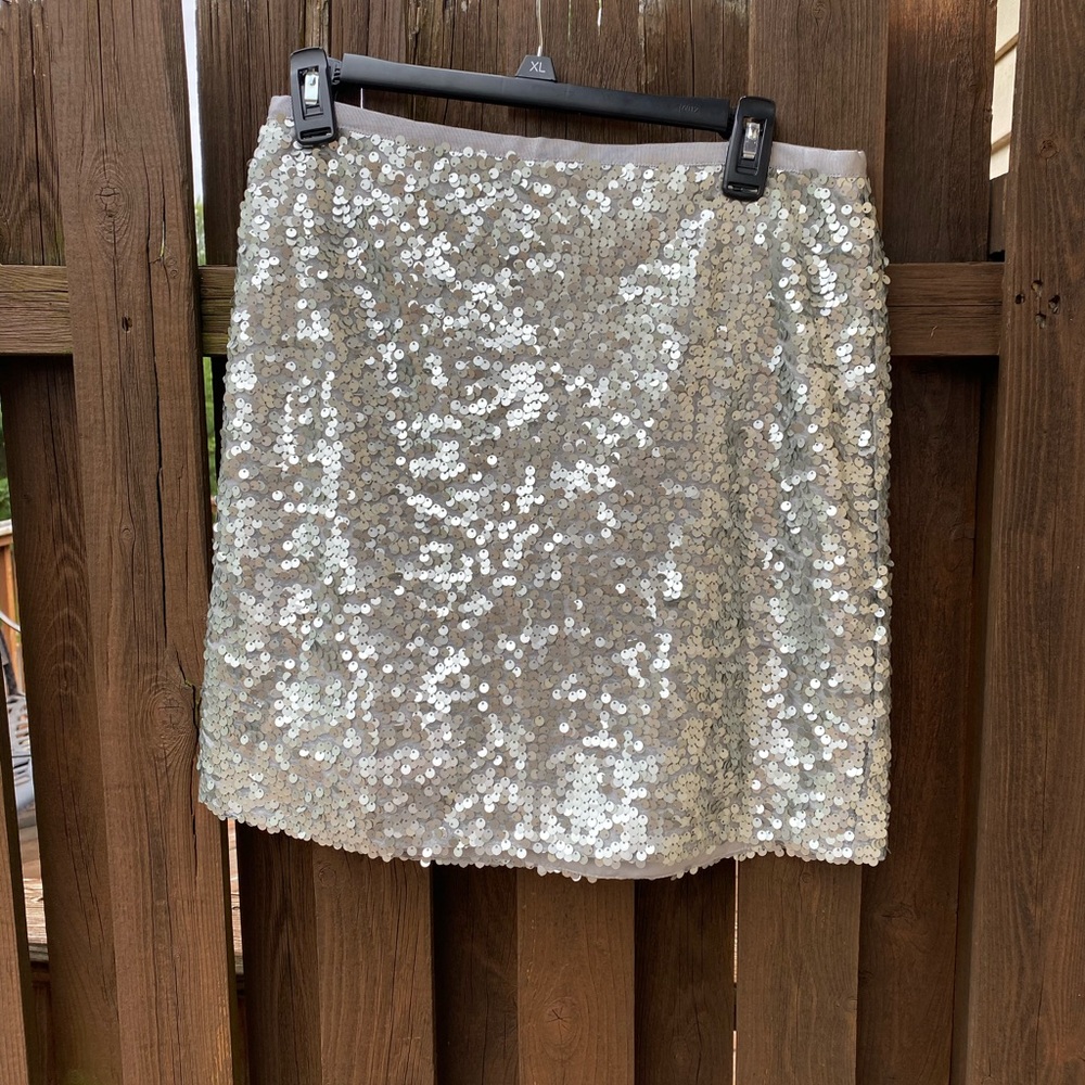 Jcrew silver sequin pencil skirt size 6